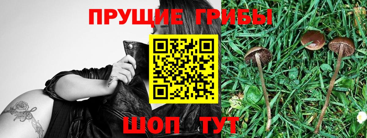 Галлюциногенные грибы мухоморы Хабаровск